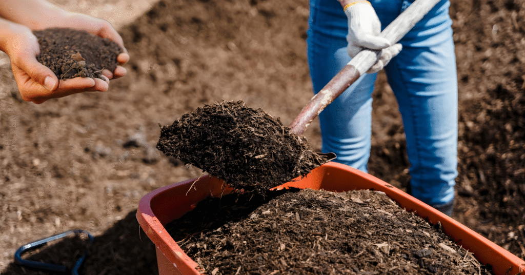 10 Powerful Secrets of Organic Compost: Turning Waste Into Garden Gold