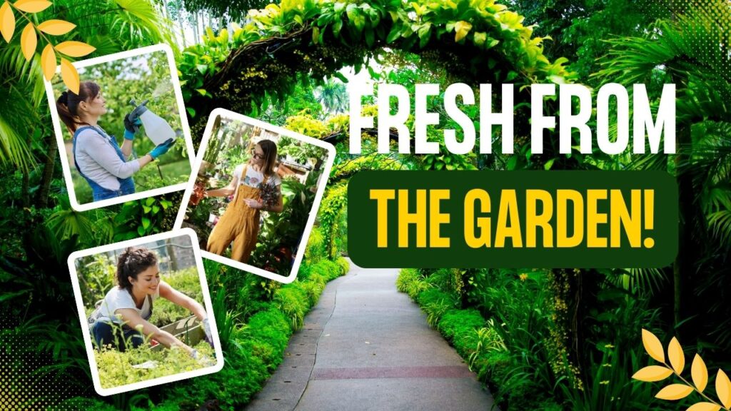 Low Maintenance Garden Ideas: 15 Powerful Tips for a Stress-Free Outdoor Space