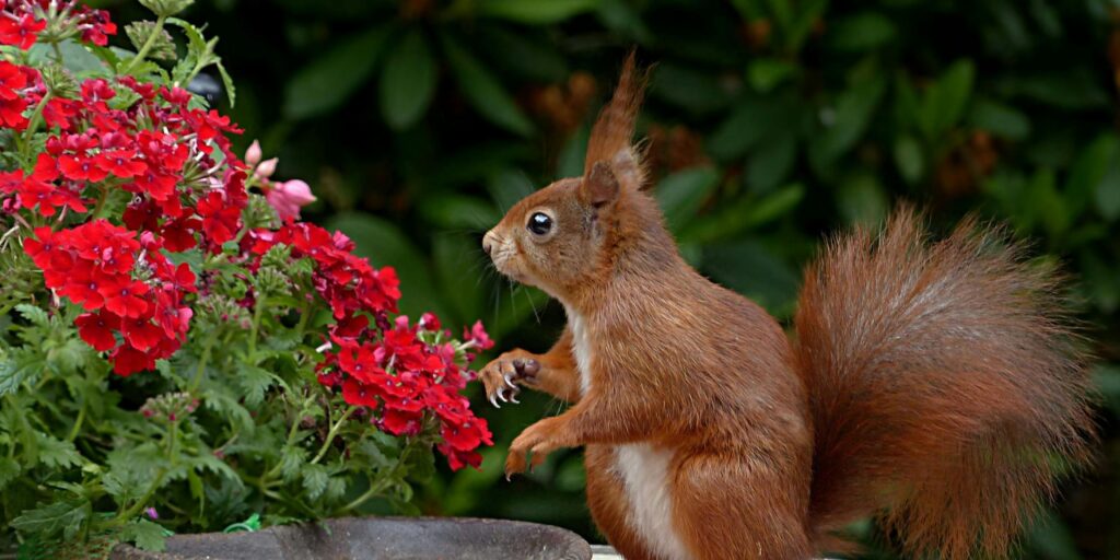 Best Garden Design Trends & Landscaping Ideas 2025, Sustainable, Stylish & Low Maintenance Guide