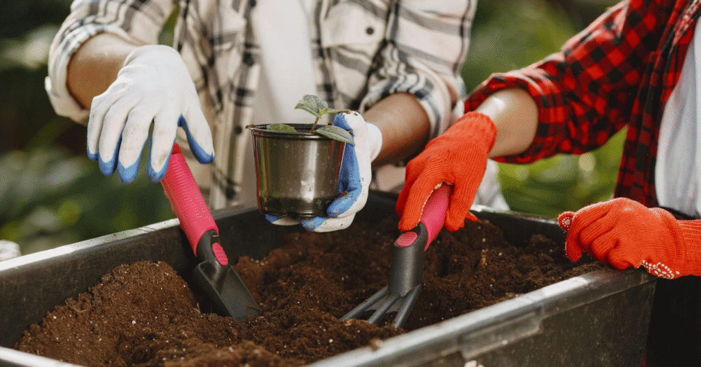 Best Soil for Raised Garden Beds 7 Powerful Secrets to Grow a Lush and Healthy Garden