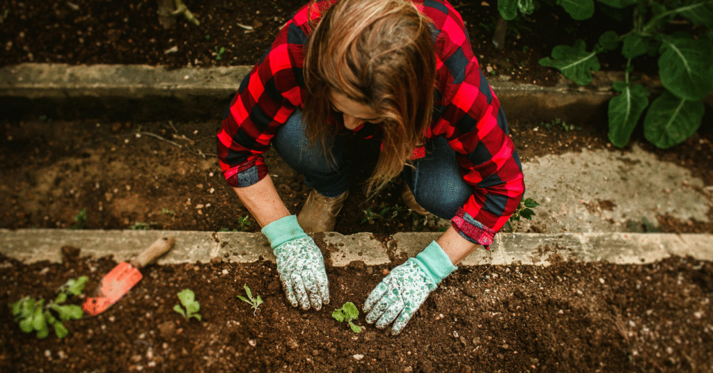 Best Soil for Raised Garden Beds 7 Powerful Secrets to Grow a Lush and Healthy Garden