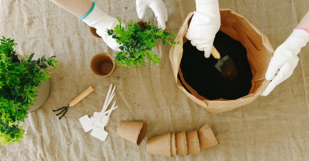 Best Soil for Raised Garden Beds 7 Powerful Secrets to Grow a Lush and Healthy Garden