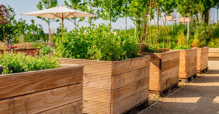 Low Maintenance Garden Ideas: 15 Powerful Tips for a Stress-Free Outdoor Space