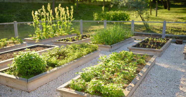 Low Maintenance Garden Ideas: 15 Powerful Tips for a Stress-Free Outdoor Space