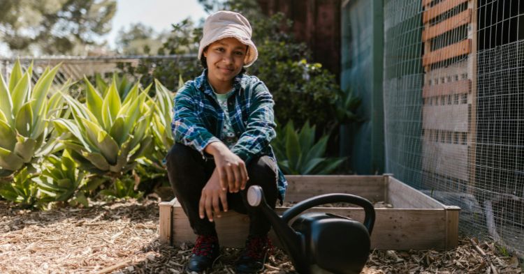 Low Maintenance Garden Ideas: 15 Powerful Tips for a Stress-Free Outdoor Space