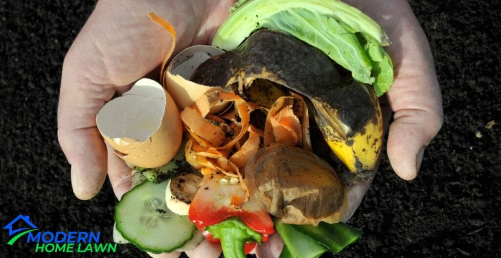 Composting at Home: A Simple Beginner’s Guide to Composting and Gardening Success 