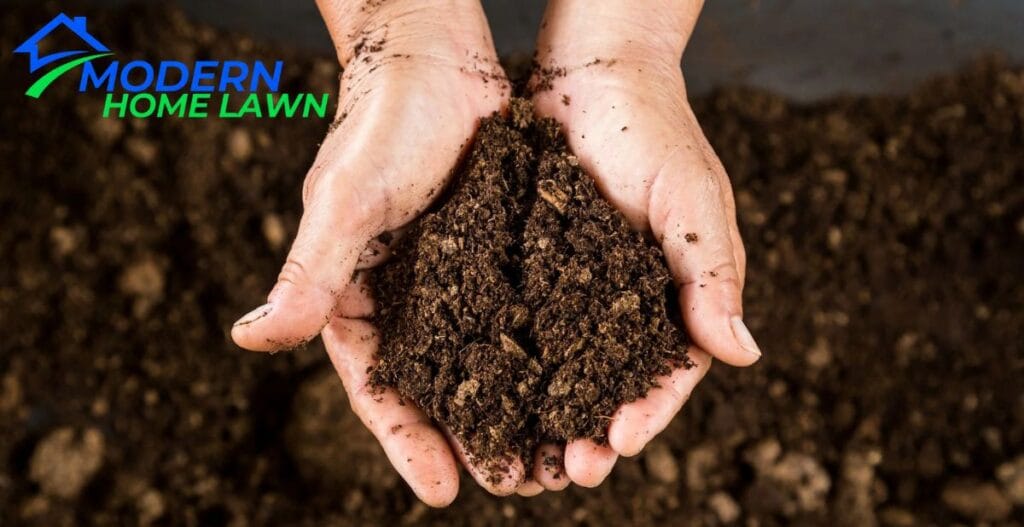 Composting at Home: A Simple Beginner’s Guide to Composting and Gardening Success 