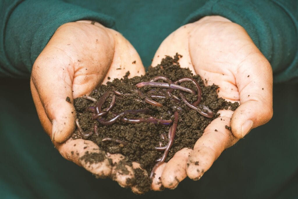 Composting at Home: A Simple Beginner’s Guide to Composting and Gardening Success 
