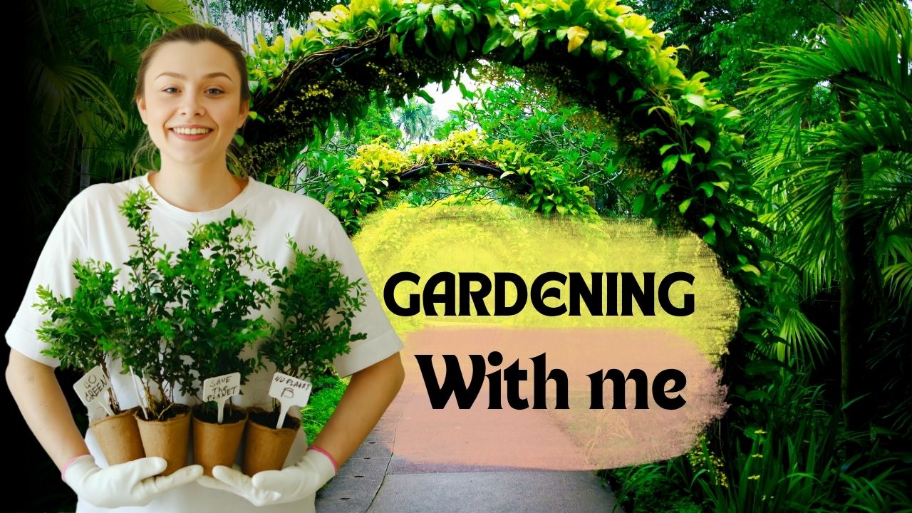 Low Maintenance Garden Ideas: 15 Powerful Tips for a Stress-Free Outdoor Space