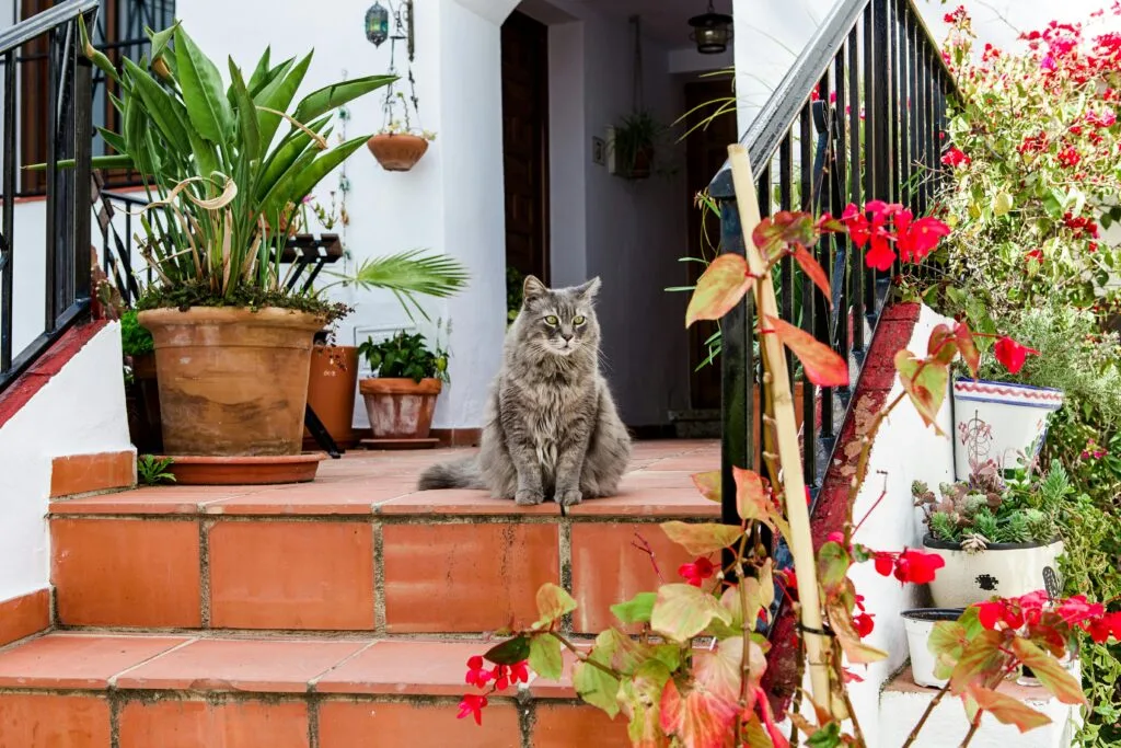 19 Amazing Before-and-After Home Exterior Remodel Ideas