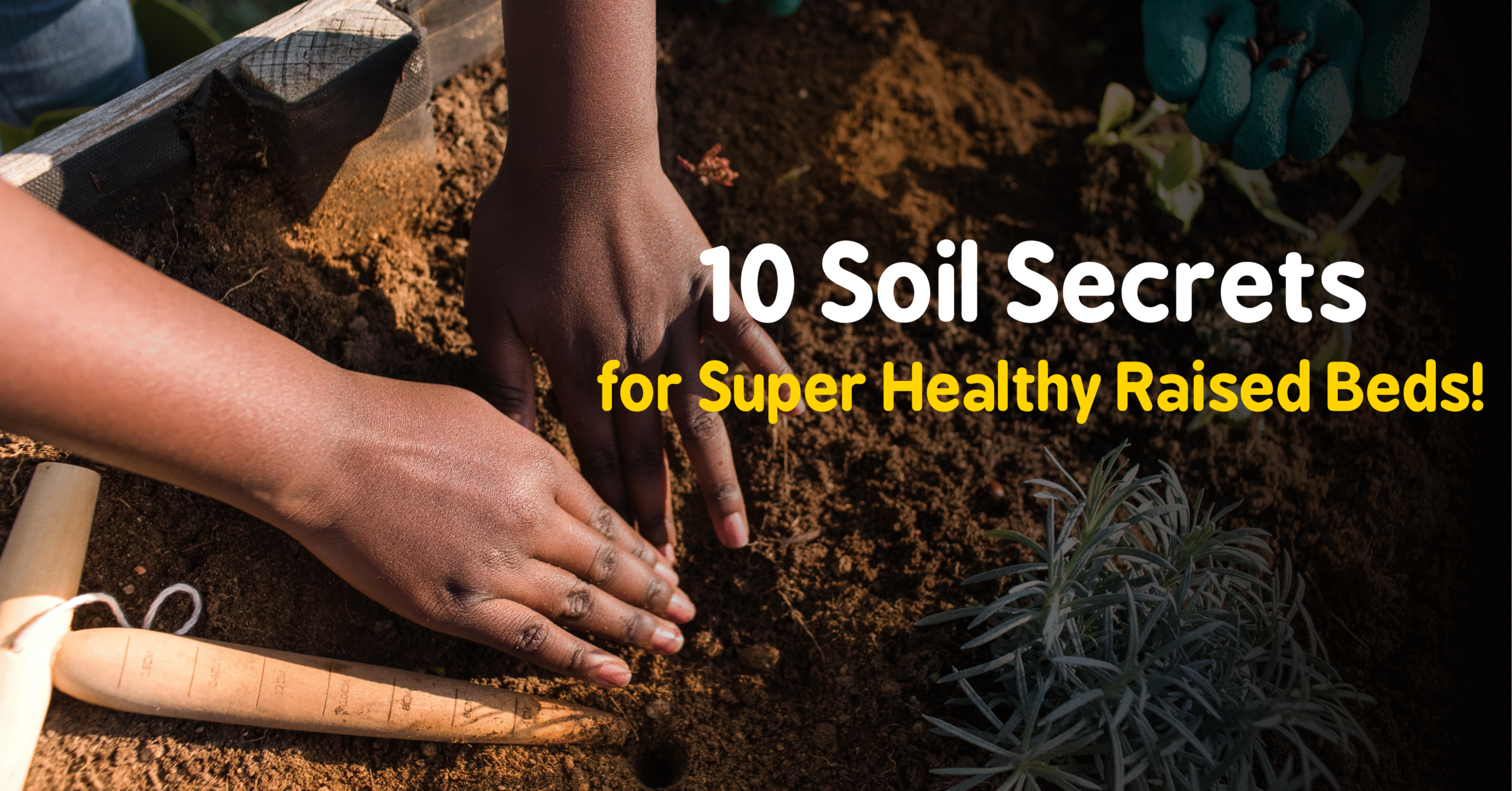 Best Soil for Raised Garden Beds: 7 Powerful Secrets to Grow a Lush and Healthy Garden